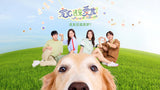 Furever Yours 宠他,还是爱我?