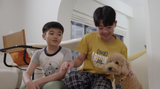 Hello Hooman 2 我的网红汪星人
