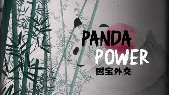 Panda Power - Rise of Furry Diplomats