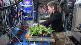 Space Farmers