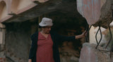 The Earthquake Detectives