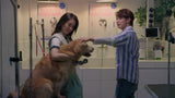 Furever Yours 宠他,还是爱我?