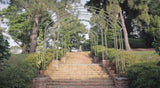 The Botanic Gardens - Stories & Secrets