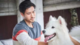 Happy Prince 快乐王子