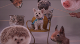 Beyond the Viral Video