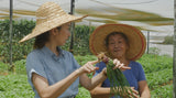 Local Fine Produce 在地好食材
