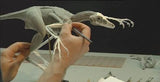 Four Winged Dinosaur