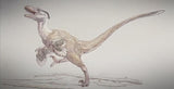 Four Winged Dinosaur