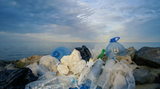 The Mass Extinction