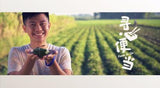 Food To Go 寻。便当