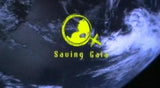 Saving Gaia