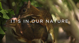 It’s In Our Nature