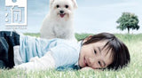 Lost And Found 小孩 • 狗