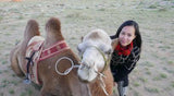 In Pursuit Of Magic - Glamping Adventures