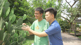 City Foragers 城市觅食