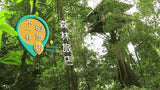 Unique Lodging 不一样的旅店