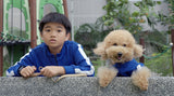Hello Hooman 2 我的网红汪星人