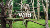 Window into the Wild