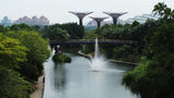 Inside Our Gardens By The Bay