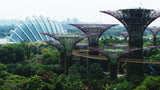 Inside Our Gardens By The Bay