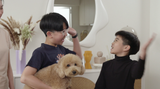 Hello Hooman 2 我的网红汪星人