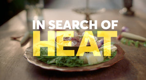 In Search of Heat