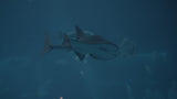 Oceans of Change