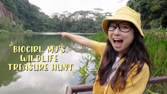 Biogirl MJs Wildlife Treasure Hunt