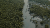 Women Of The Wetlands