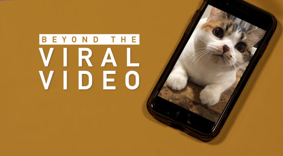 Beyond the Viral Video