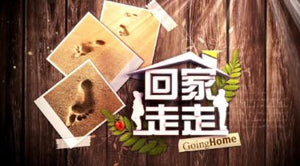 Going Home 回家走走