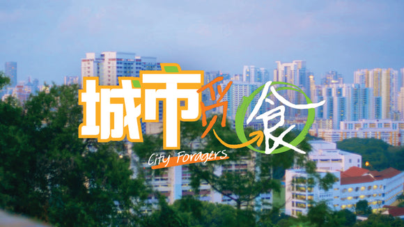 City Foragers 城市觅食