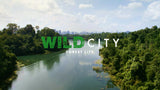 Wild City: Forest Life