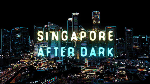 Singapore After Dark